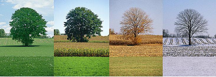 《最后的生还者》PC版更新仍未解决卡顿等问题